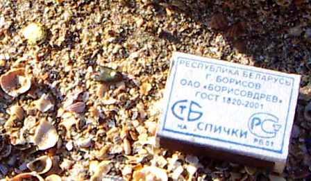 Очищенная монета в условиях находки на пляжном песке. Клады Азовского моря
