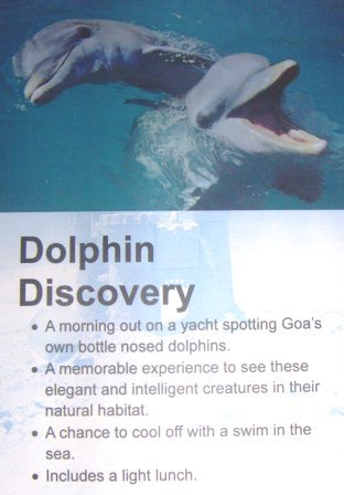 Дельфины изъяснялись с нами только по английски, малыши и остальное семейство только по индийски...