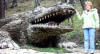 А вот вылезающее из горы злобное чудище - крокодил. Курортный парк Кисловодска.