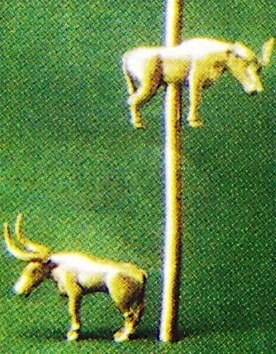 Предметы из Майкопского кургана: штампованные нашивные бляшки, штампованные нашивные кольца, золотые фигурки бычков.